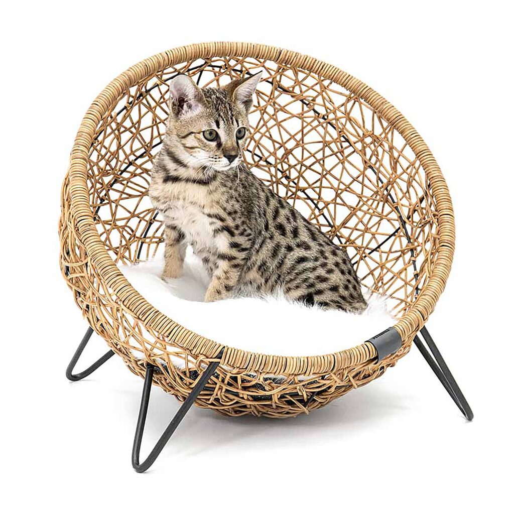 PetRebels cat bed House of Heaven Amsterdam 47 in cream