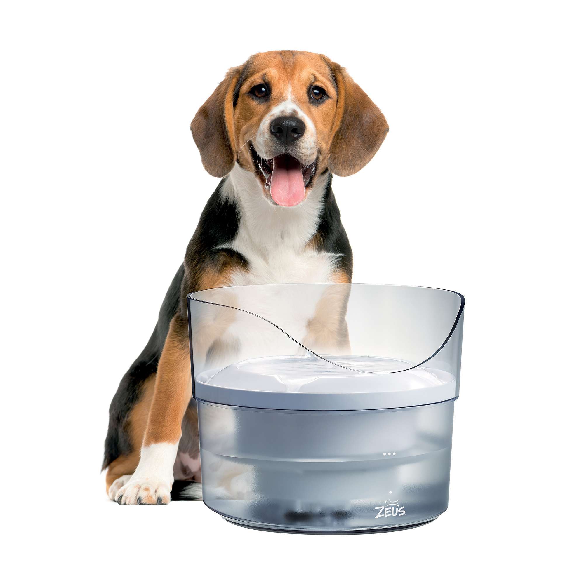 Zeus Fresh & Clear Drinking Fountain with Splash Guard