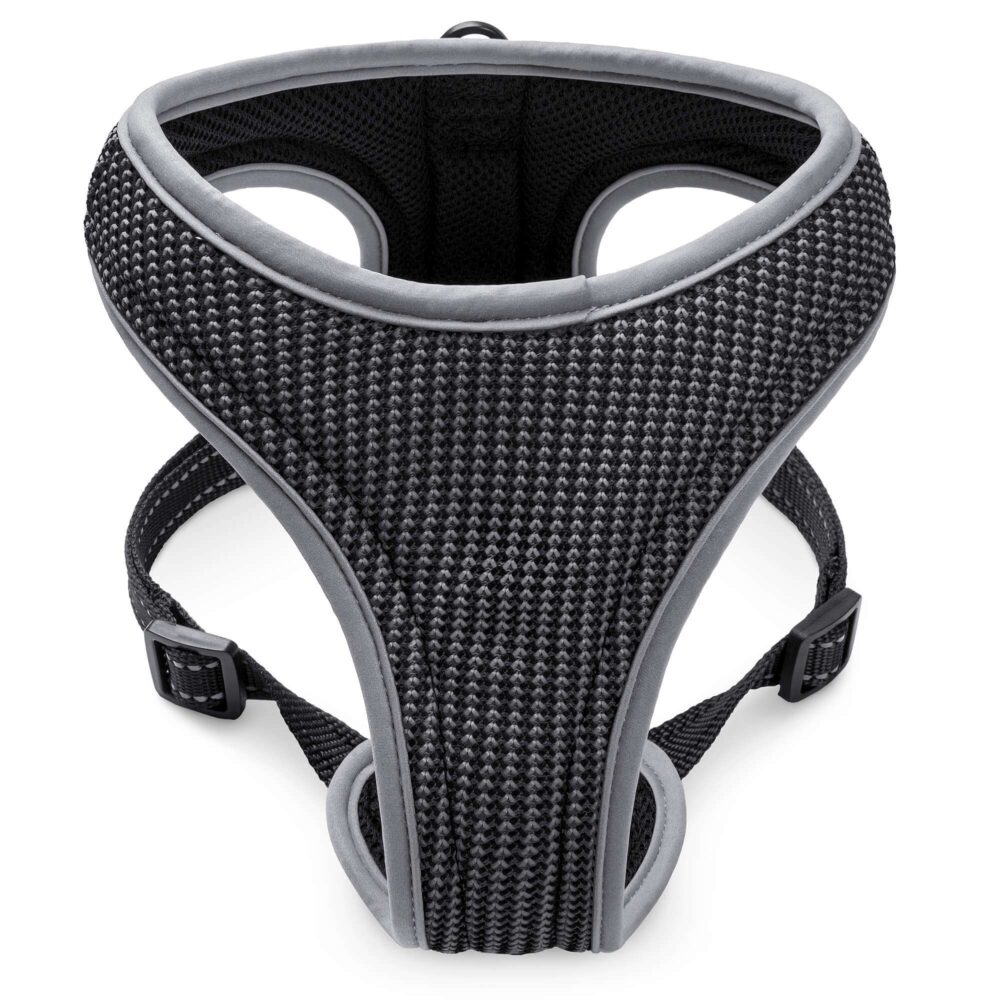 Freezack Hundegeschirr Sport Soi schwarz