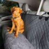 Dog Gone Smart Car Cover Double 3in2 Cool in grey