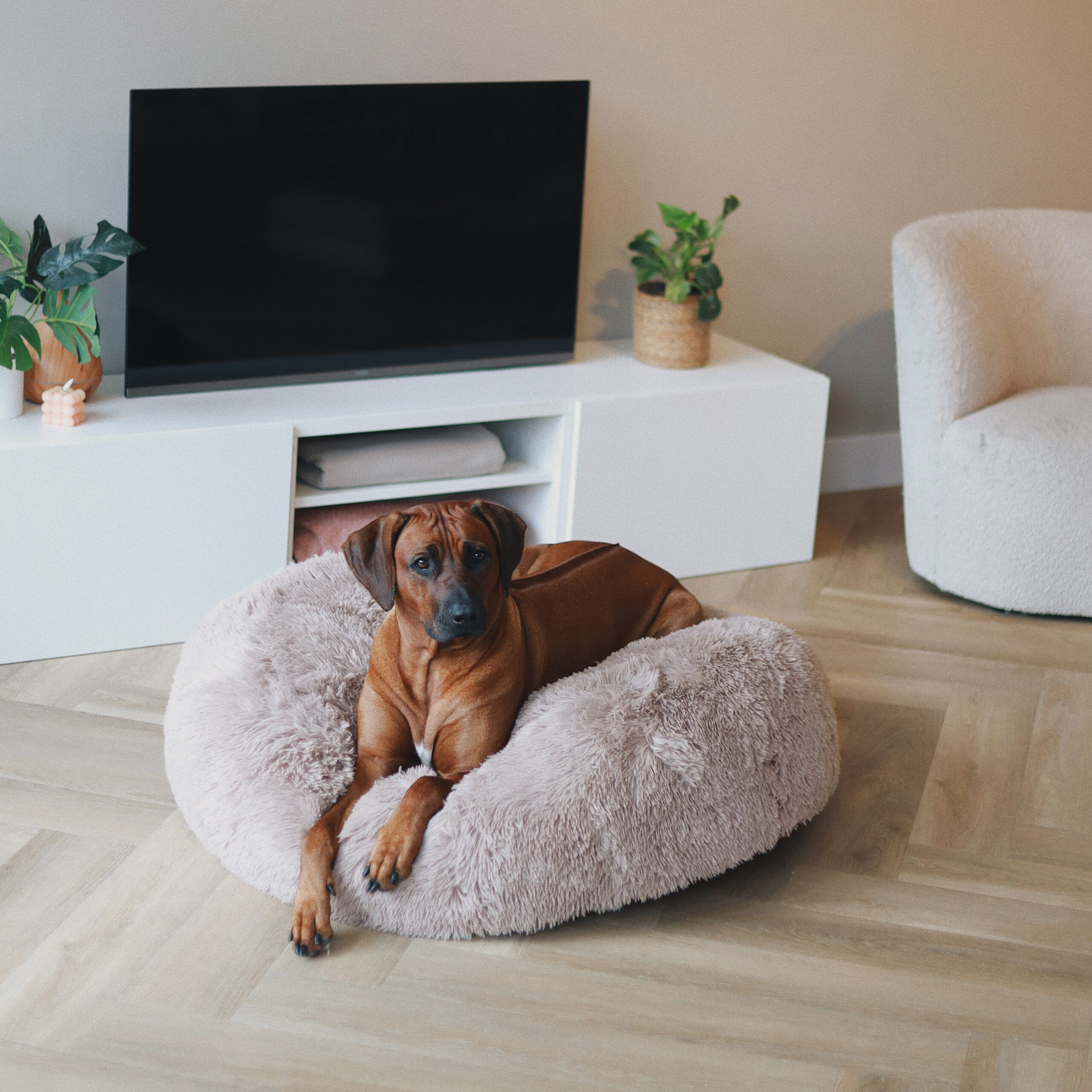 District70 Harwell dog bed sand