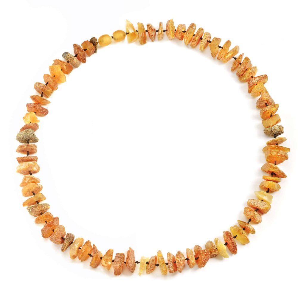 Amberdog amber necklace sun for dogs