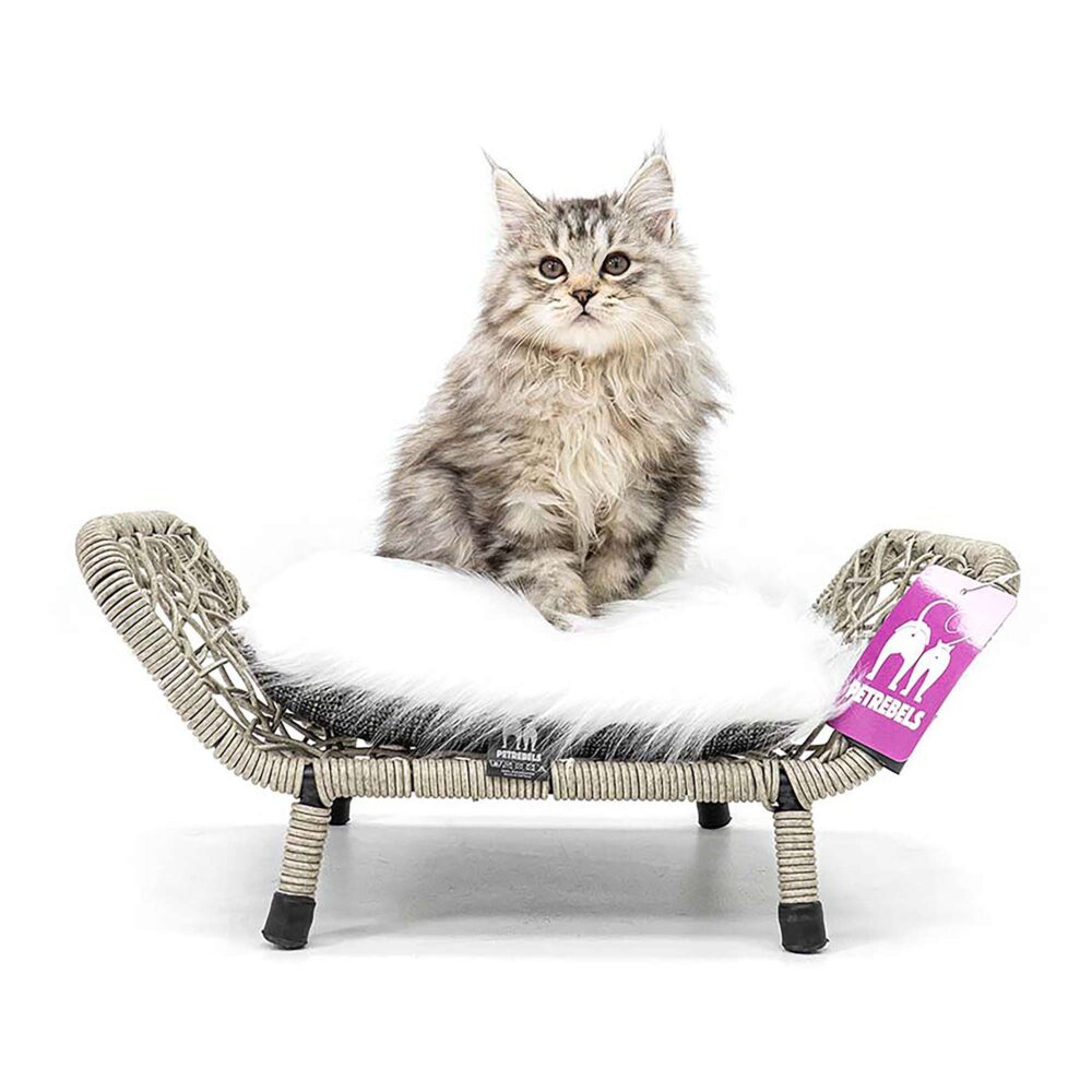 PetRebels cat bed House of Heaven Rome 47 in gray