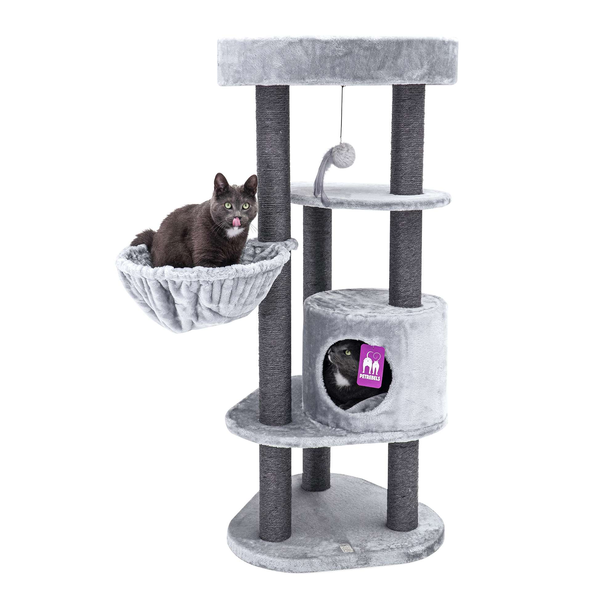 Petrebels Kings&Queens Charlotte 134