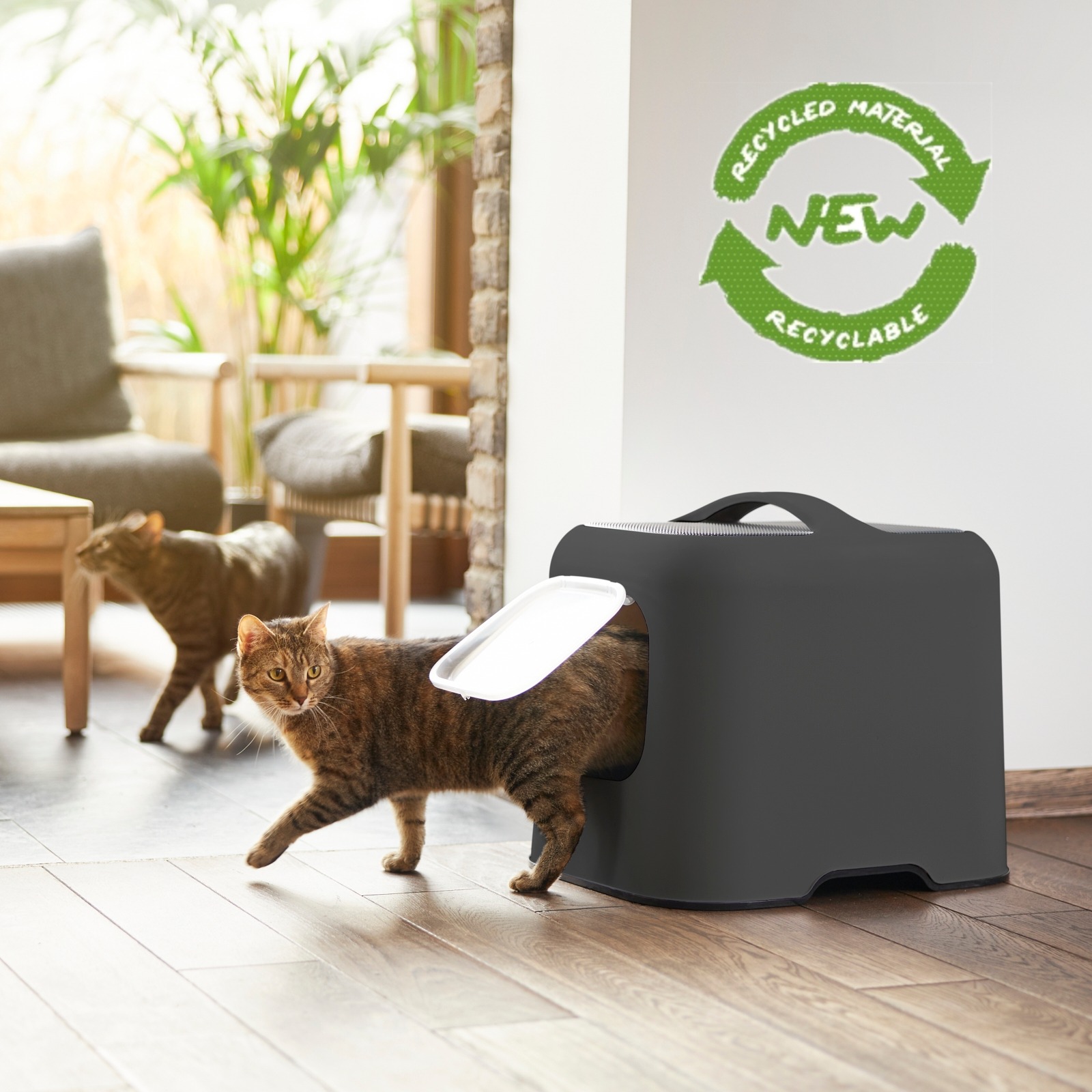 Rotho Biala cat litter box in black