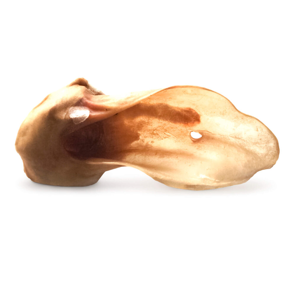 bePure Kalbsohren mit Muschel Kauartikel für Hunde