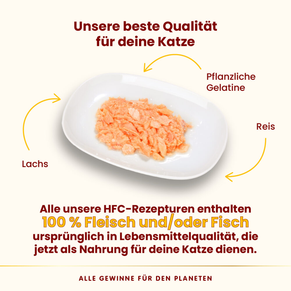 Almo Nature HFC Jelly Cat Lachs Nassfutter für Katzen