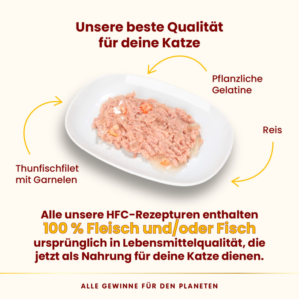 Almo Nature HFC Jelly Cat Thunfischfilet mit Garnelen Nassfutter für Katzen