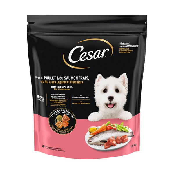Cesar Huhn & Lachs Trockenfutter für Hunde